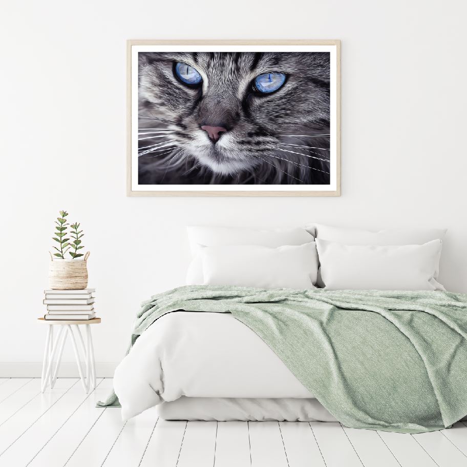 Cat with Blue Eyes Photograph Home Decor Premium Quality Poster Print Choose Your Sizes