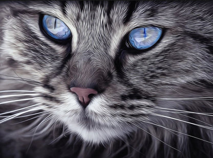 Cat with Blue Eyes Photograph Home Decor Premium Quality Poster Print Choose Your Sizes