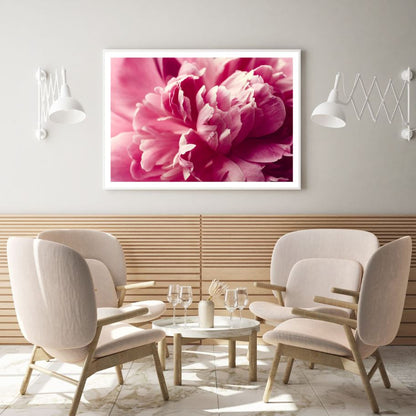 Pink Flower Macro Photograph Home Decor Premium Quality Poster Print Choose Your Sizes