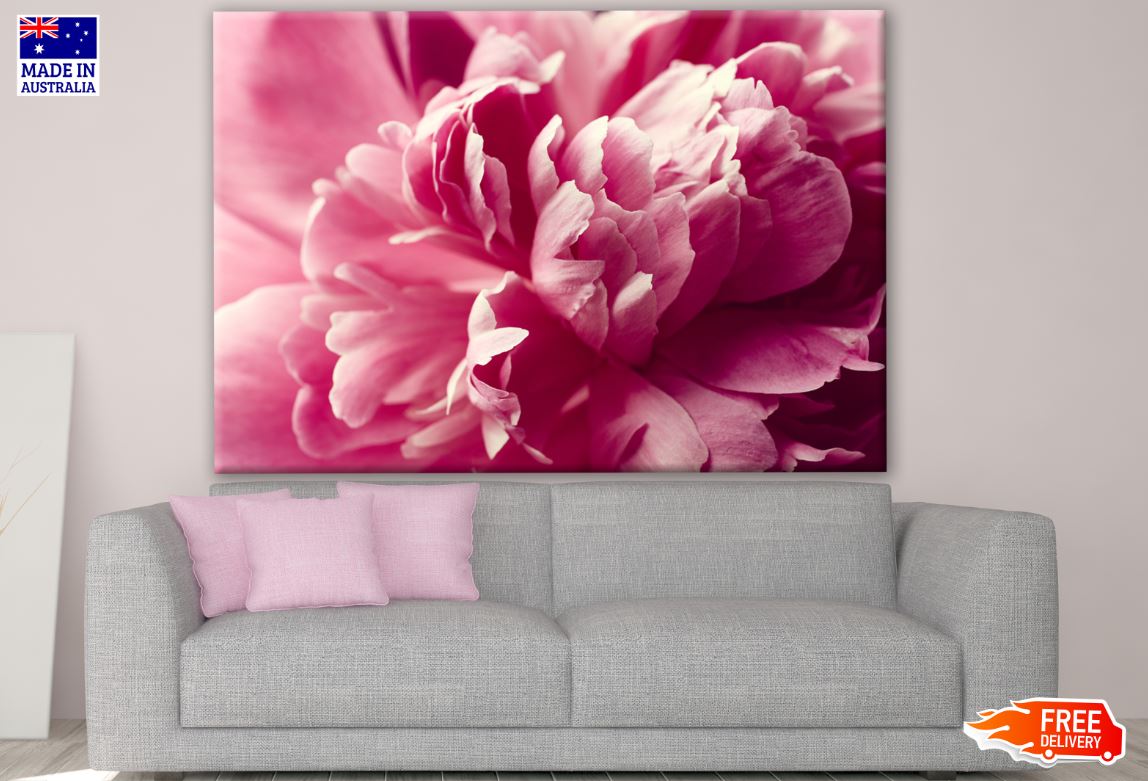 Rose Flower Close up Photograph Print 100% Australian Made