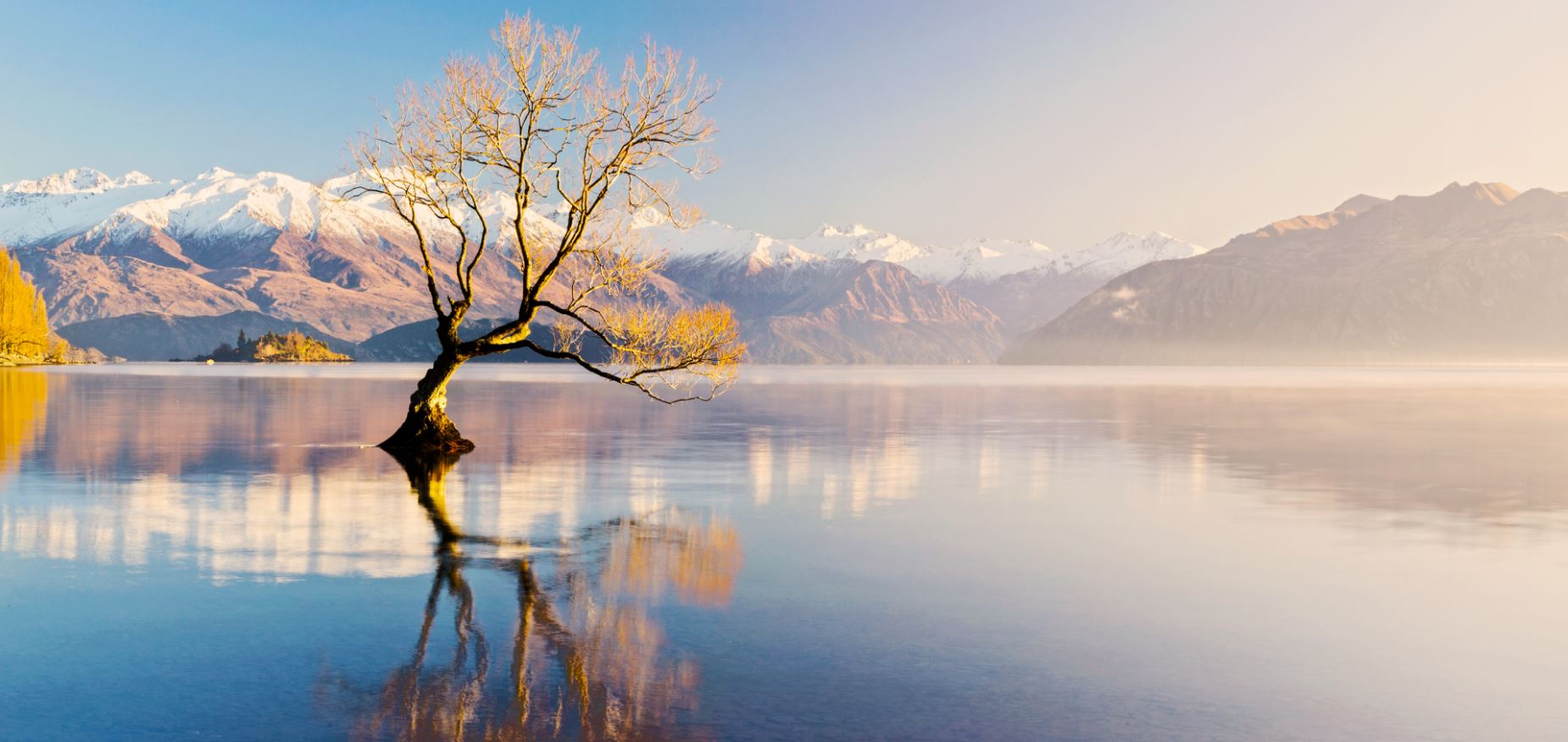 Tree in Lake Scenery Photograph Home Decor Premium Quality Poster Print Choose Your Sizes