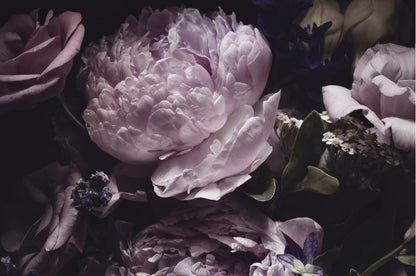 Pink Flowers Macro Photograph Home Decor Premium Quality Poster Print Choose Your Sizes