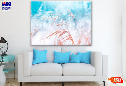 Flower Closeup Photograph Print 100% Australian Made