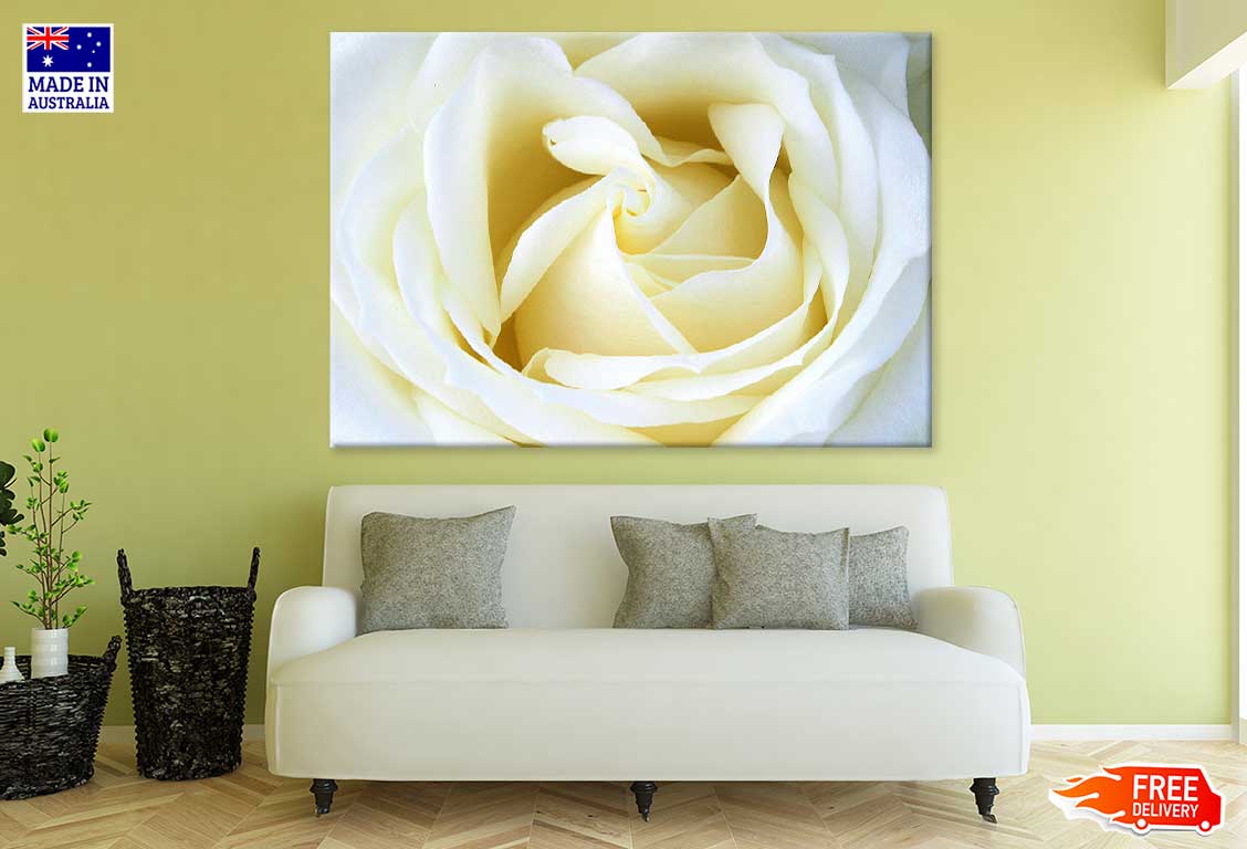 White Rose Petals Closeup View Photograph Print 100% Australian Made