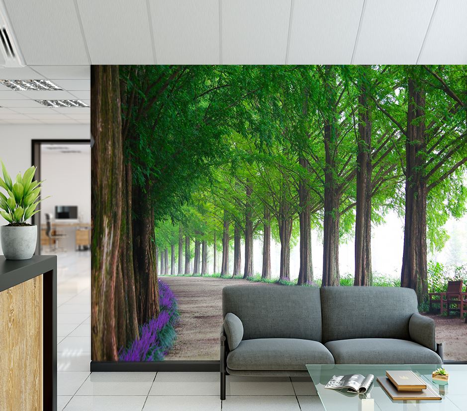 Wallpaper Murals Peel and Stick Removable Tree Row High Quality