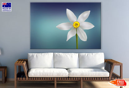 White Purity Flower Closeup Photograph Print 100% Australian Made