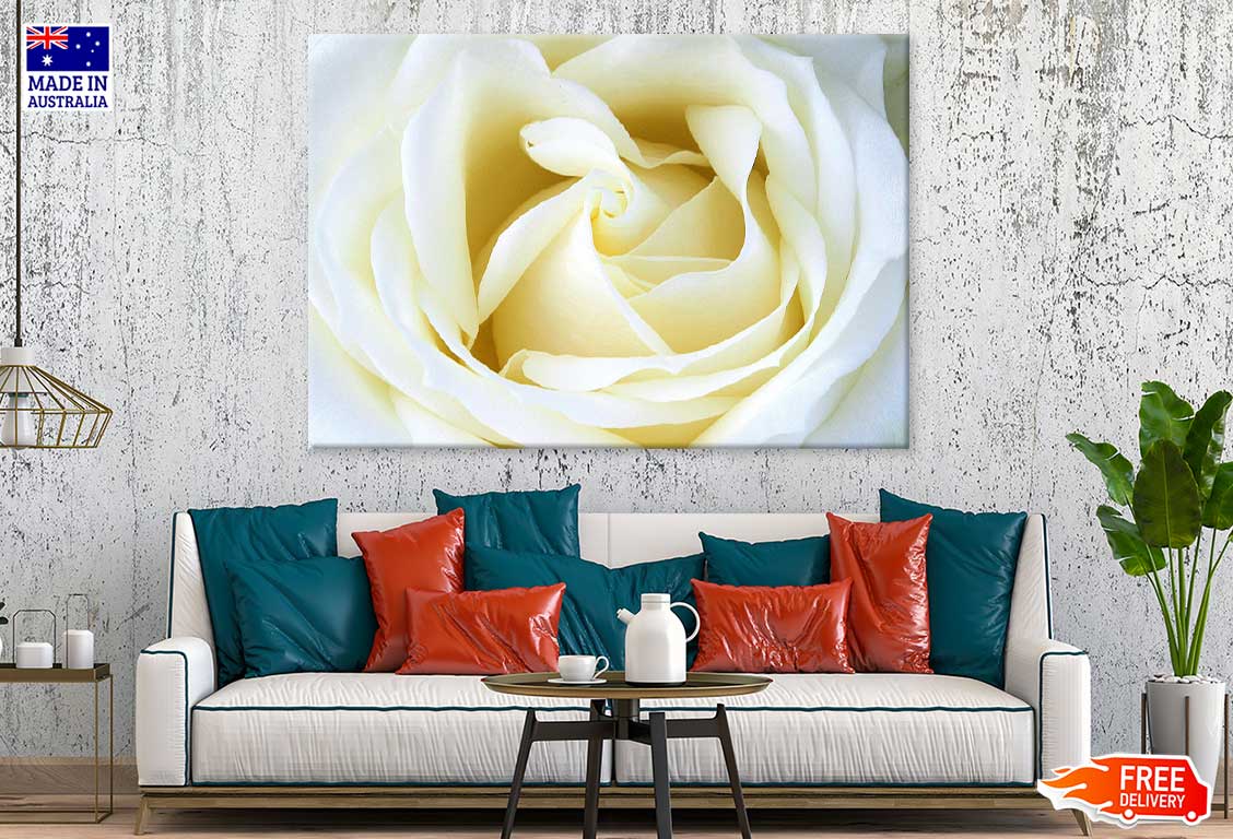 White Rose Petals Closeup View Photograph Print 100% Australian Made
