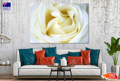 White Rose Petals Closeup View Photograph Print 100% Australian Made