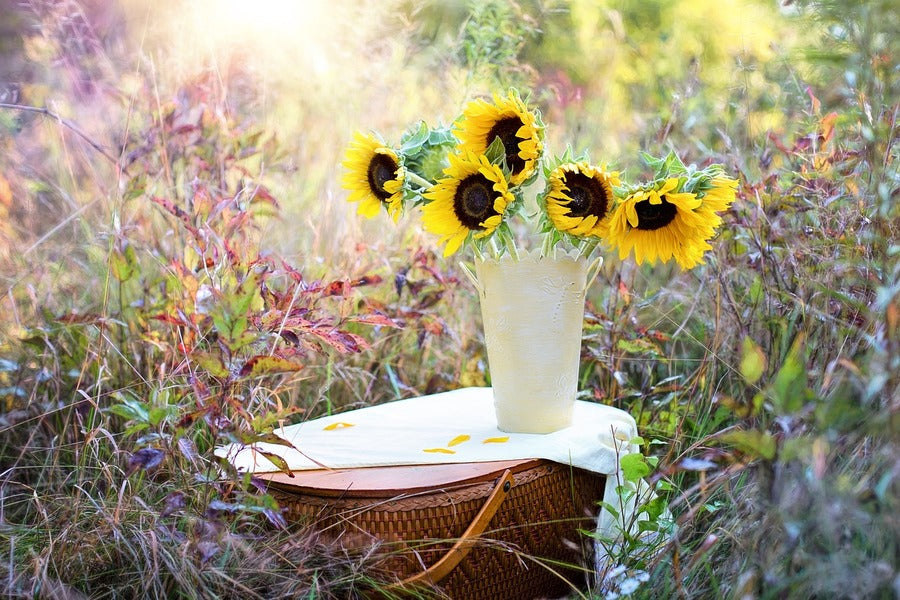 Sunflower With Flower Vase Photograph Print 100% Australian Made
