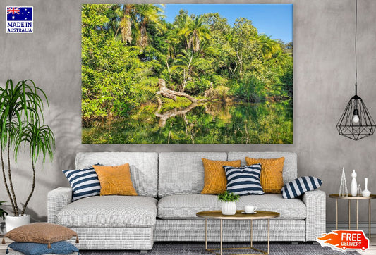 Palm Trees & Forest Near Lake Photograph Print 100% Australian Made