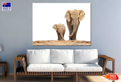 African Elephant Mom & Baby View Photograph Print 100% Australian Made