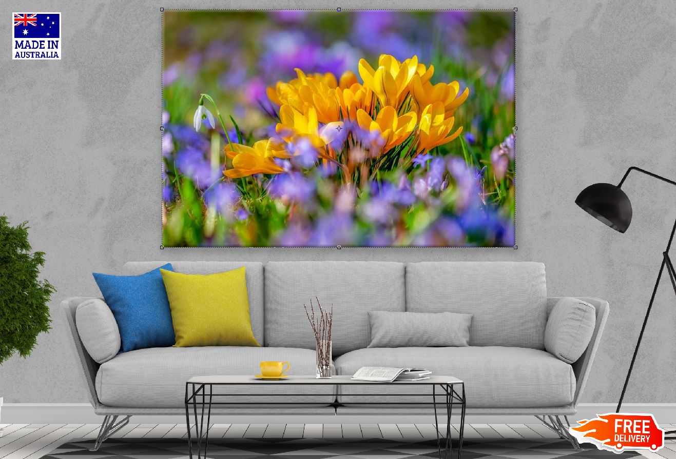 Yellow Crocus Flowers Closeup Photograph Print 100% Australian Made