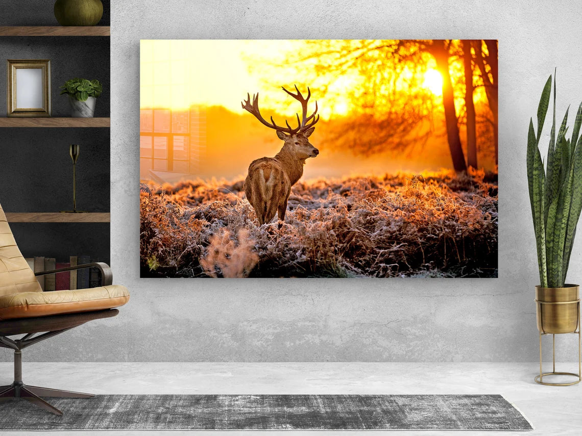 Deer on Forest Sunset Print Tempered Glass Wall Art 100% Made in Australia Ready to Hang