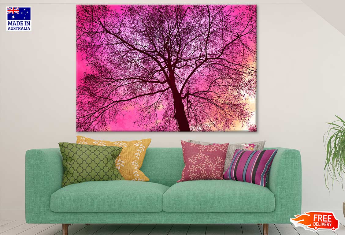 Tree & Pink Sky Photograph Print 100% Australian Made