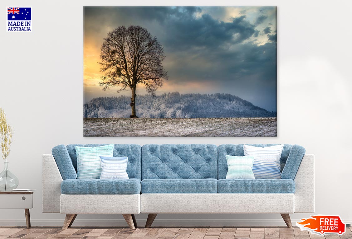 Tree Without Leaves on Snow Covered Field Photograph Print 100% Australian Made