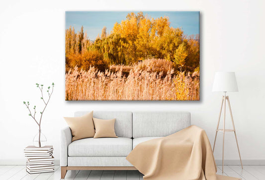 Bella Home Autumn Forest Dry Grass Field Print Canvas Ready to hang