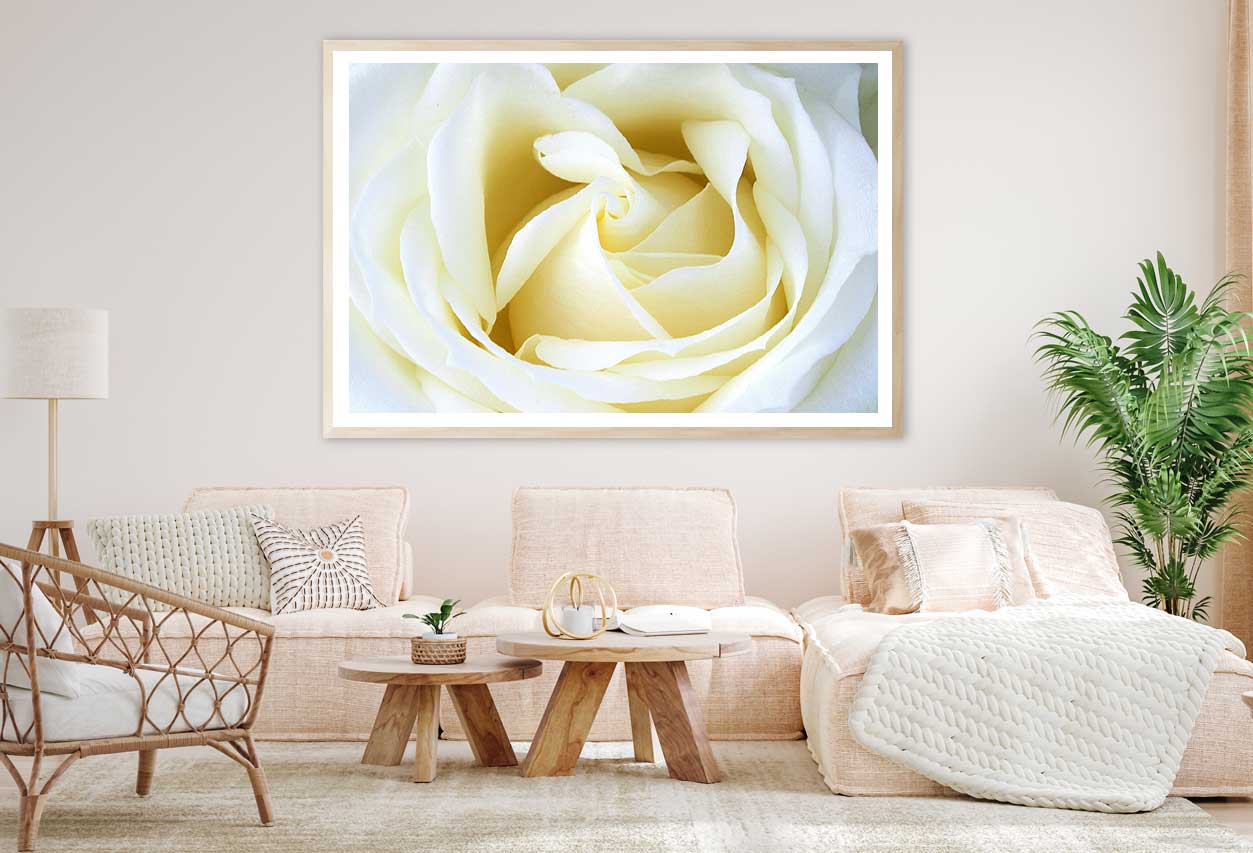 White Rose Petals Closeup View Home Decor Premium Quality Poster Print Choose Your Sizes