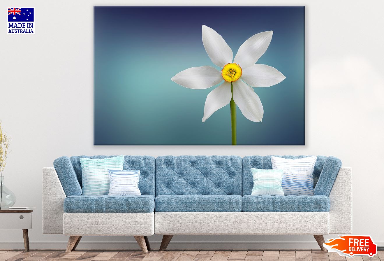 White Purity Flower Closeup Photograph Print 100% Australian Made