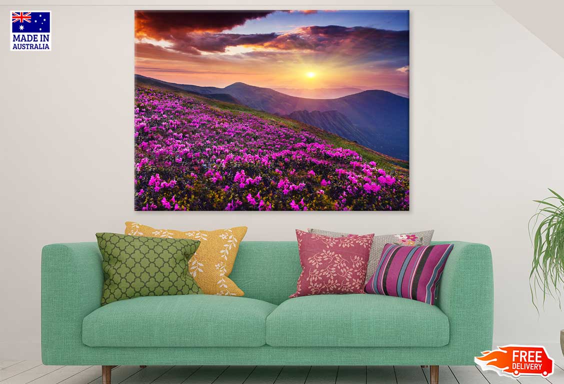 Pink Mountain Flowers Photograph Print 100% Australian Made