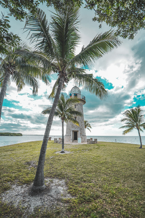 Palm Trees Near Lighthouse View Photograph Print 100% Australian Made