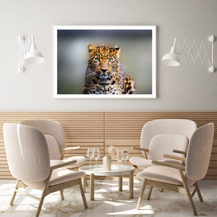 Leopard Closeup Photograph Home Decor Premium Quality Poster Print Choose Your Sizes