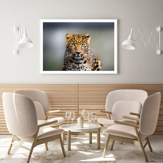 Leopard Closeup Photograph Home Decor Premium Quality Poster Print Choose Your Sizes