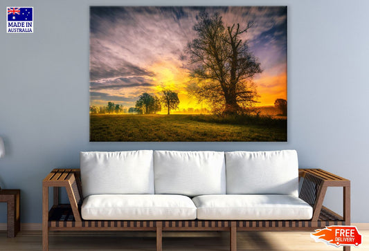 Spring Trees & Sunset Photograph Print 100% Australian Made