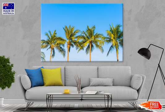 Plam Trees & Sky View Photograph Print 100% Australian Made