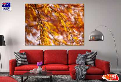 Orange Autumn Tree Leaves View Photograph Print 100% Australian Made