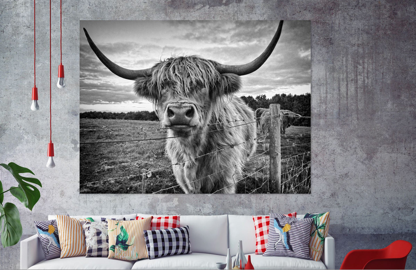 Highland Cow Popular Print 100% Australian Made