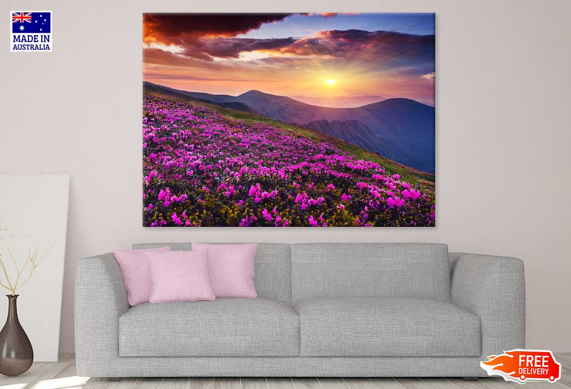 Pink Mountain Flowers Photograph Print 100% Australian Made