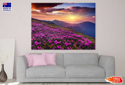 Pink Mountain Flowers Photograph Print 100% Australian Made