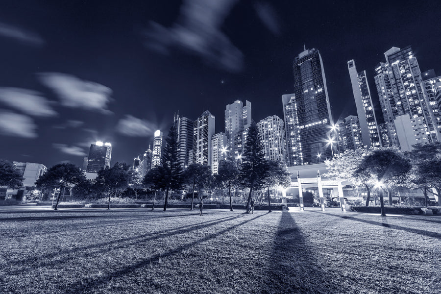 Bella Home Park in Hong Kong City Night B&W Print Canvas Ready to hang