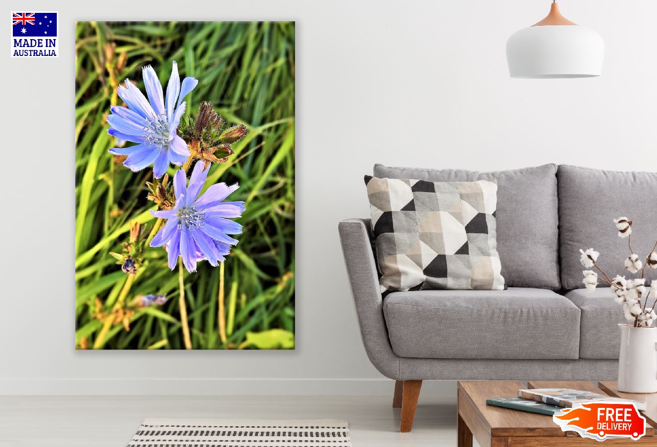 Blue Chicory Flower Closeup Photograph Print 100% Australian Made