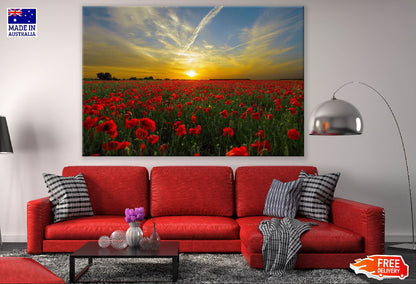 Poppy Flower Filed Sunset Photograph Print 100% Australian Made