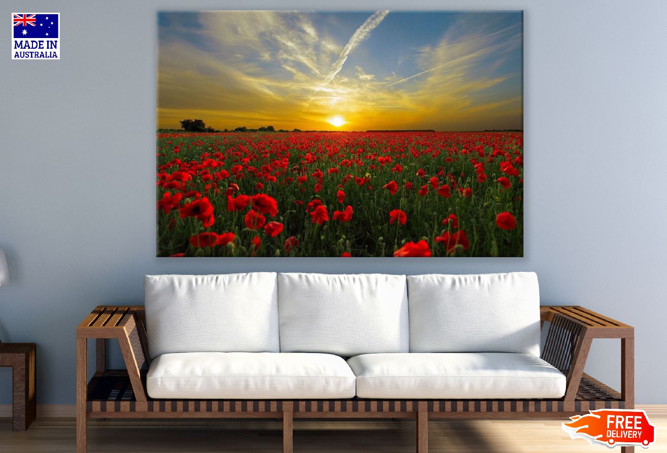 Poppy Flower Filed Sunset Photograph Print 100% Australian Made