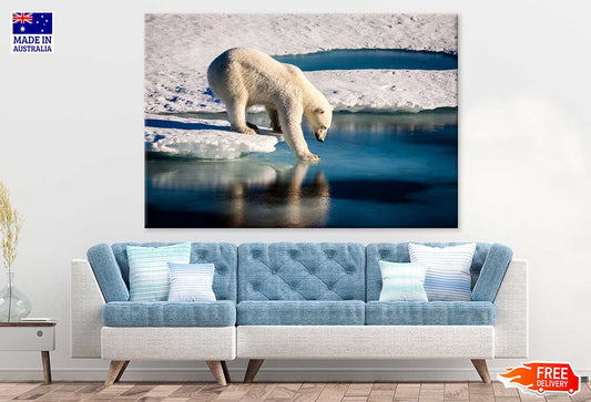 Polar Bear on Melting Ice Cap Photograph Print 100% Australian Made