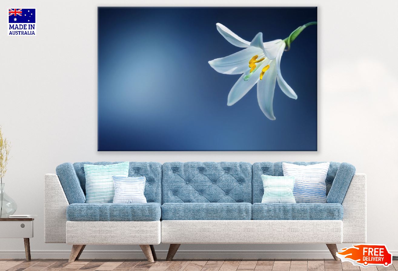 White Lily Flower Closeup Photograph Print 100% Australian Made