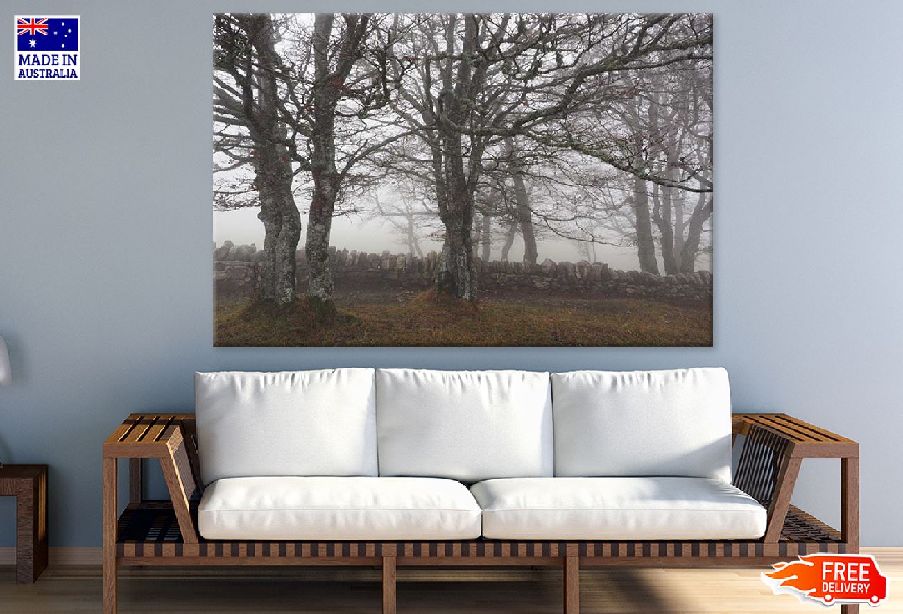 Misty Forest & Rock Wall Photograph Print 100% Australian Made