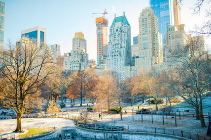 Central Park in Winter New York City Photograph Print 100% Australian Made