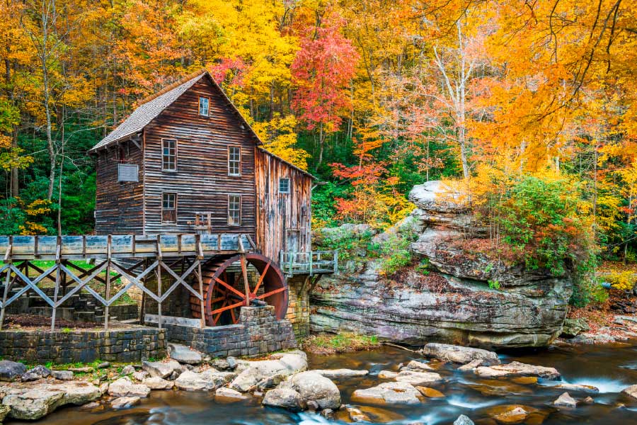 Bella Home Wooden Cabin near River & Forest Print Canvas Ready to hang