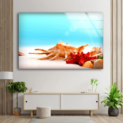 Sea Shells on Sand Photograph Acrylic Glass Print Tempered Glass Wall Art 100% Made in Australia Ready to Hang