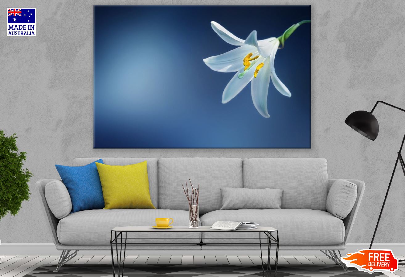 White Lily Flower Closeup Photograph Print 100% Australian Made