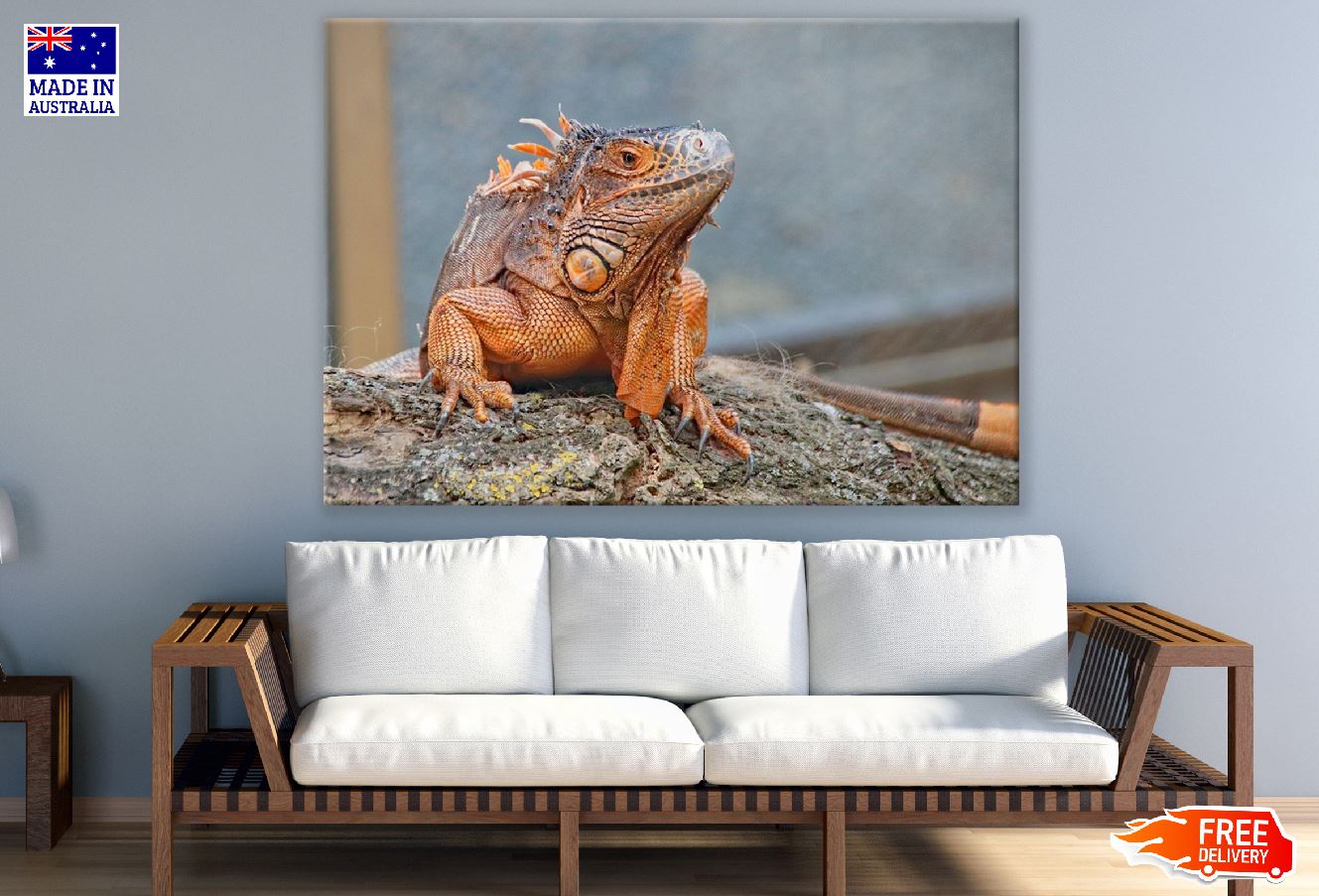 Iguana Reptiles Closeup Photograph Print 100% Australian Made