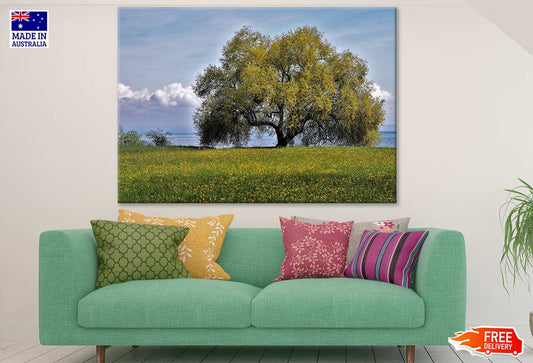 Huge Tree Near Sea Photograph Print 100% Australian Made