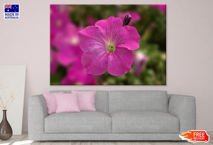 Pink Flower Closuep Photograph Print 100% Australian Made