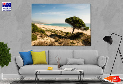 Alone Tree Near Seashoe View Photograph Print 100% Australian Made