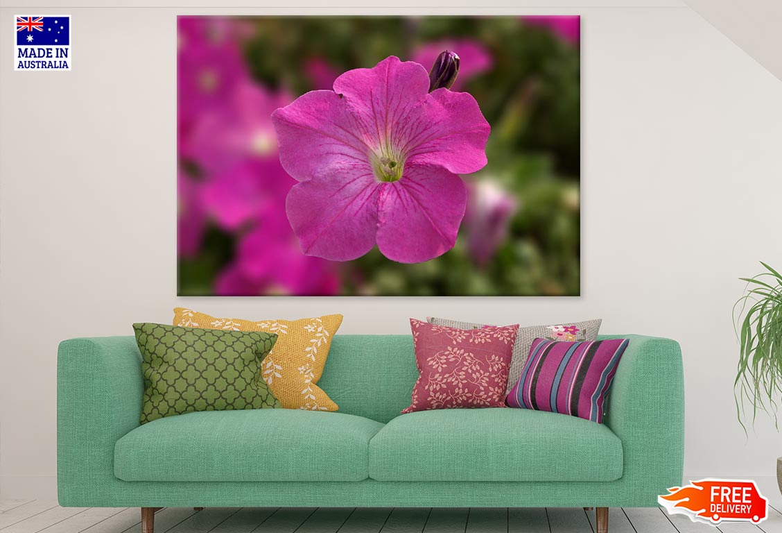 Pink Flower Closuep Photograph Print 100% Australian Made