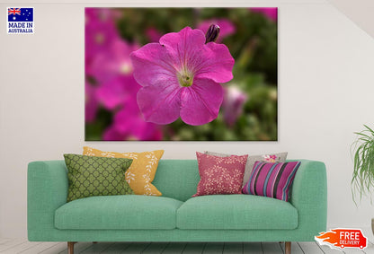 Pink Flower Closuep Photograph Print 100% Australian Made