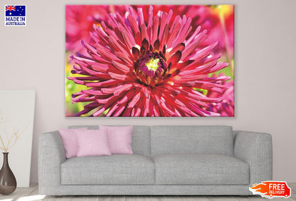 Red Dahlia Flower Macro Photograph Print 100% Australian Made